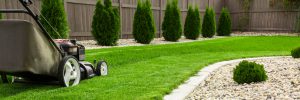 Gärtner Gartenarbeit Bonn Rhein-Sieg